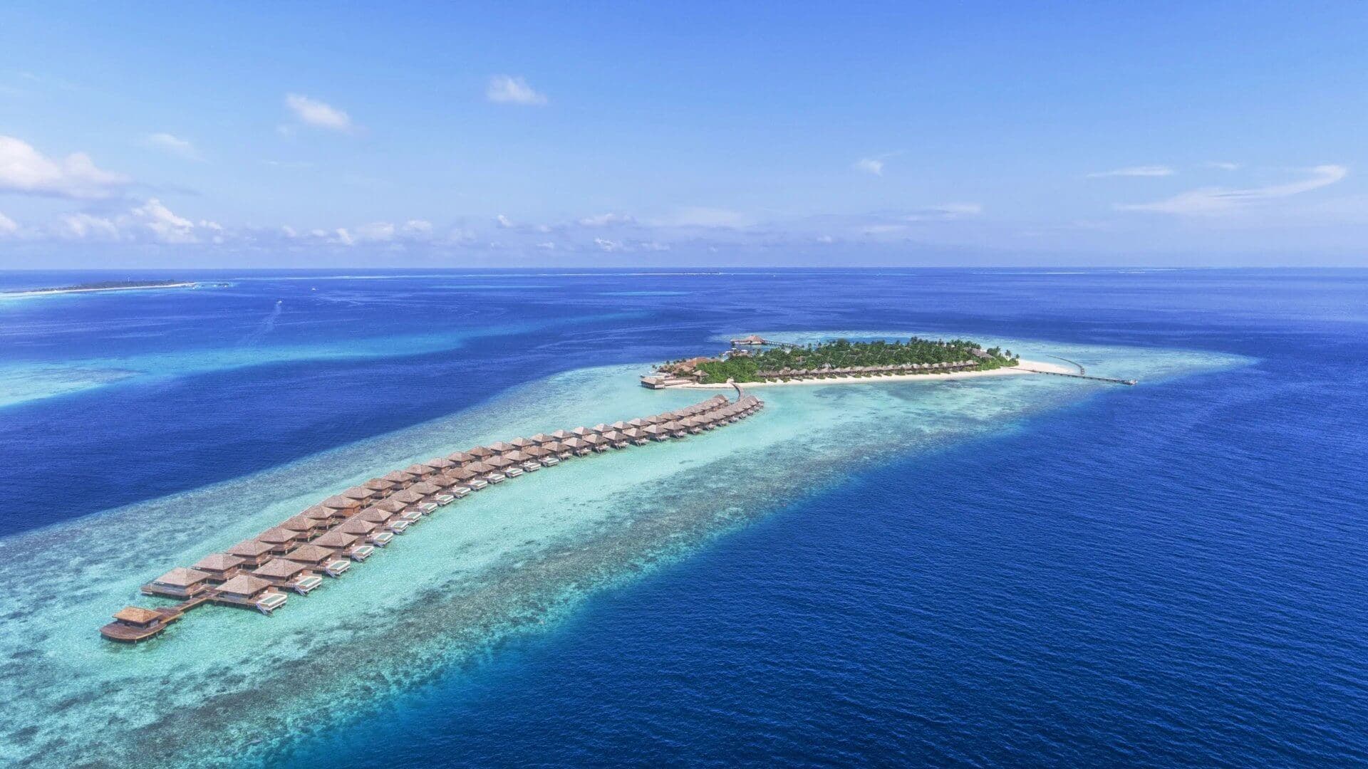 Which Maldives Resorts Have Dolphins Nearby